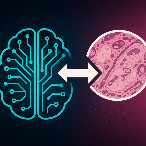 From Fluorescent Glow to Familiar H&E: An AI Bridge for Pathology